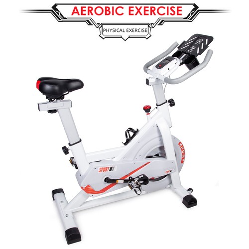 Evoland exercise training bike - exercise,